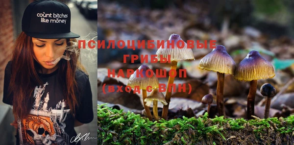 МДПВ Алзамай