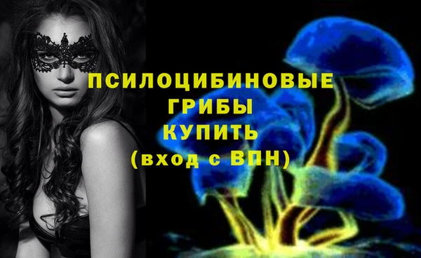 МДПВ Алзамай