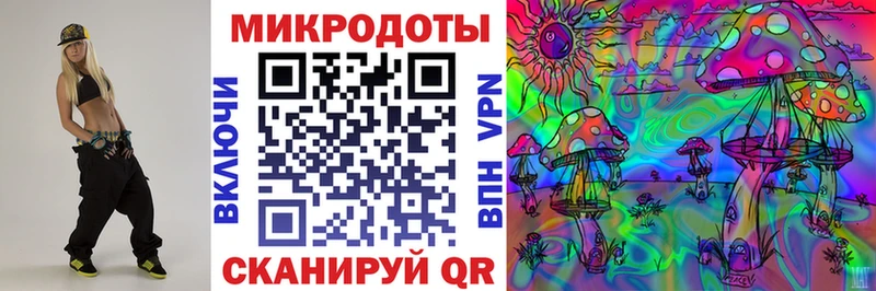 где найти   Апатиты  Галлюциногенные грибы Cubensis 